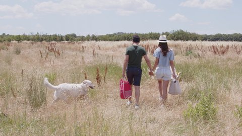 Couple with bags walking in field, rear view