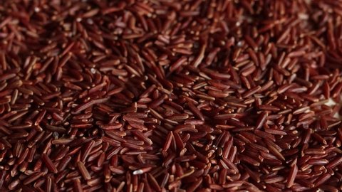 Dry uncooked brown wild rice is poured from top to bottom . Red grains fall, a stack of cereals on a light background. Organic natural ingredient for a healthy food.