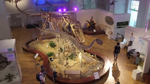 Helsinki, Finland - July 14, 2021: The Natural History Museum