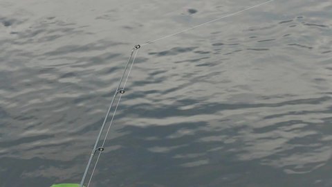 biting fish on a fishing rod near the river bank