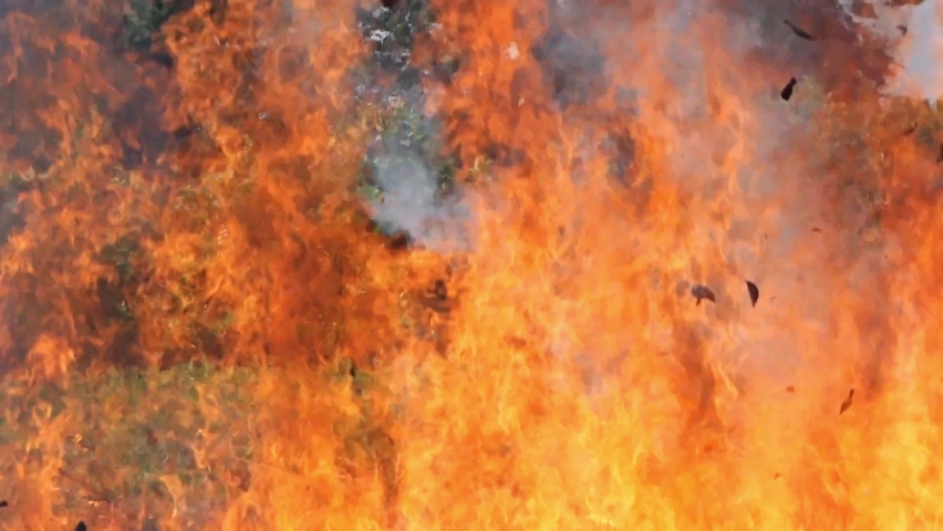 Fire burning with smoke slowmotion  | Shutterstock HD Video #1077816932