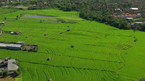sunny day bali island famous rice fields village aerial panorama 4k indonesia