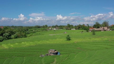 sunny day bali island famous rice fields aerial panorama 4k indonesia