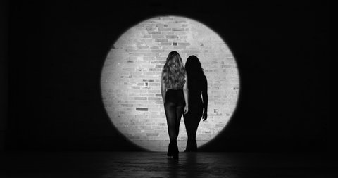 A wide shot of a woman walking towards a brick wall and stage light centered on her, with the background of her silhouette on a brick wall on a black and white video.