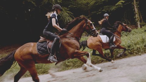 Two blonde female equestrians, mounted in fast brown horses, one with a mark of a star on its leg, as they sway their beautiful mane with the wind, amidst a lush forest, tall trees, and grass