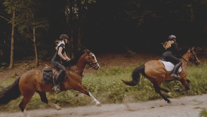 Panning shot of two beautiful female equestrians, traveling in a narrow road, mounted in coffee-colored horses, running fast while its beautiful mane swinging with the wind, amidst a rich forest Royalty-Free Stock Footage #1077828062