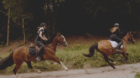 Panning shot of two beautiful female equestrians, traveling in a narrow road, mounted in coffee-colored horses, running fast while its beautiful mane swinging with the wind, amidst a rich forest
