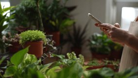 Close-up hands of unrecognizable female florist and blogger taking pictures of plants in floral shop using mobile phone camera. Woman taking pictures of beautiful green houseplants in pots, closeup. - Powered by Shutterstock - Get 15% off with code: PIKWIZARD15