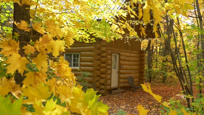 Wooden house in forest with fall colors in Algonquin Provincial Park, Canada