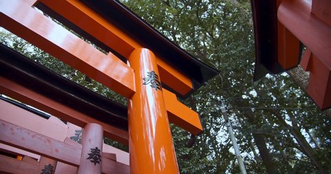Handheld shot of torii gate from the Senbon Torii (thousands of vermilion torii gates) of Fushimi Inari-taisha. The trails lead into the forest of the sacred mt. Inari. Translation : votive offering