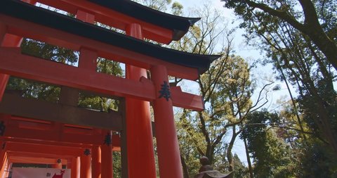 Handheld shot of torii gate from the Senbon Torii (thousands of vermilion torii gates) of Fushimi Inari-taisha. The trails lead into the forest of the sacred mt. Inari. Translation : votive offering