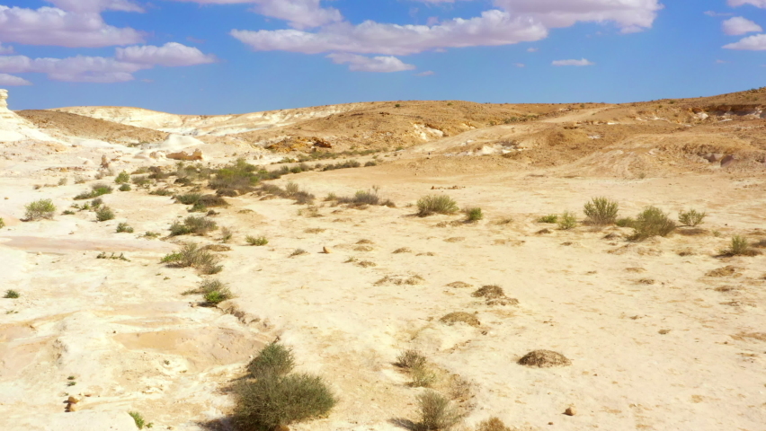 Aerial: Growth Of Plants Over Desert Landscape On Sunny Day Against Cloudy Sky - Nitzana Hillocks, Israel