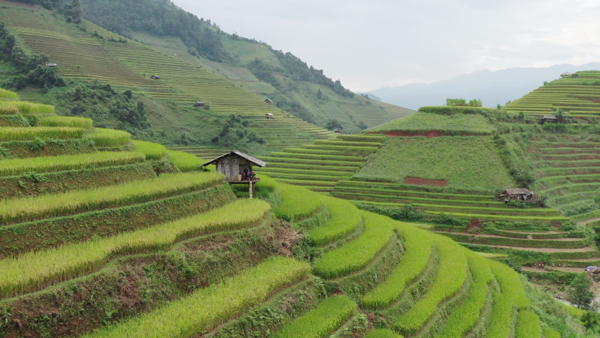 Aerial: Beautiful Shot Of Terrace Filed Over Landscape, Person Working On Built Structure - Mu Cang Chai, Vietnam
