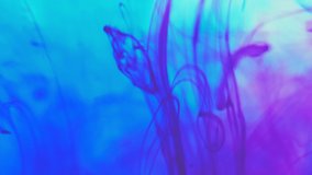 Blue and red color paint ink drops in water slow motion video with copy space. Inky cloud swirling flowing underwater. 4k