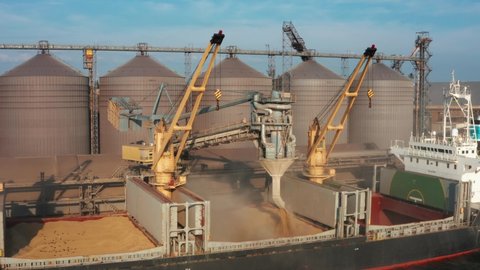 ODESSA, UKRAINE - August 9, 2021: Drone video - loading grain into holds of sea cargo vessel through an automatic line in seaport from silos of grain storage. Bunkering of dry cargo ship with grain
