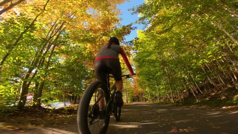 Autumn Mountain biking in fall. Mountain biker riding MTB bicycle on forest gravel trail in fall foliage. Action shot of with colorful leaves. Woman living healthy sports lifestyle outdoors