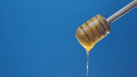 Honey drips, pours from the honey dipper on a blue background. Close-up. Healthy organic thick honey, made from a wooden honey spoon, close-up. Healthy food concept.copy space. space for text