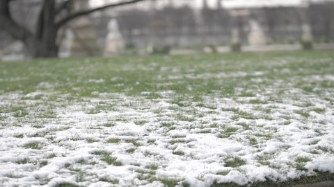 White snow lies on green grass in the park.