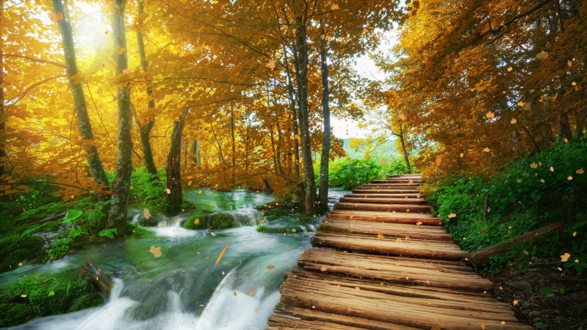 Seamless Loop Cinemagraph video of autumn wooden path in Plitvice Lake, Croatia . Tranquil nature scenery for relaxation background . Royalty-Free Stock Footage #1077884594