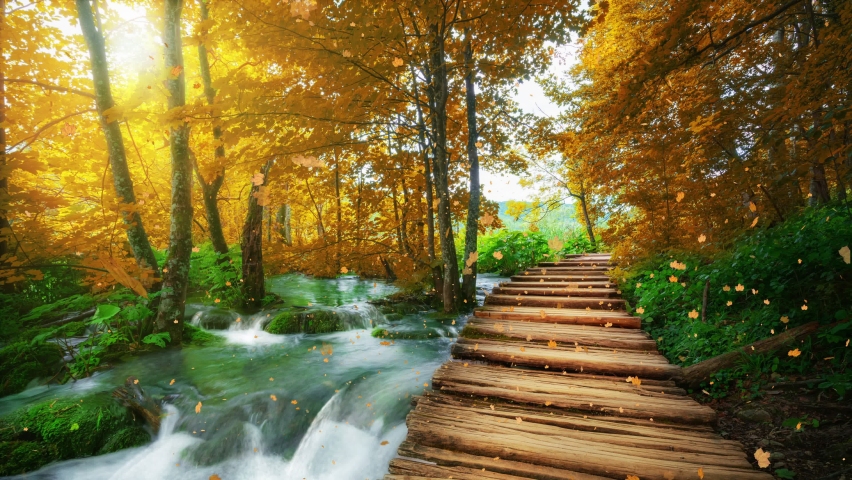 Shutterstock video thumbnail