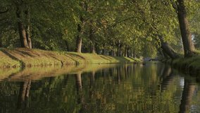 Beautiful summer on the canals in the park surrounded by old linden trees.Selective focus. Sunlight of the setting sun on the river bank. Ducks swim in the river, natural landscape