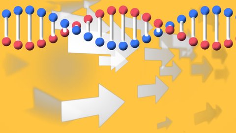 Digital animation of dna structure spinning over multiple arrow icons against yellow background. medical research and science technology concept