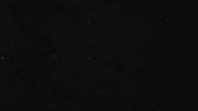 Drifting real dust isolated on a black background. Filmed spore particles with selective focus floating in the air. Cinematic overlay as organic concept template for a macro virus, pollen, vapor - Powered by Shutterstock - Get 15% off with code: PIKWIZARD15