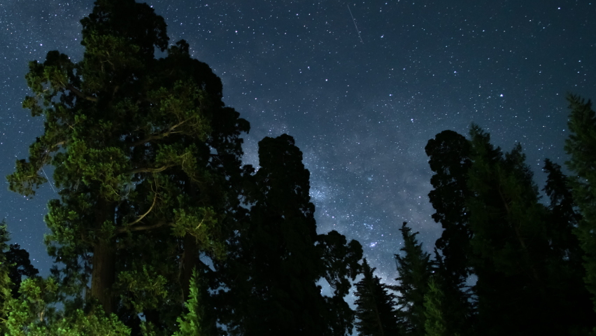 Sequoia Forest Star Trails South Sky Grant Grove Sequoia and Kings Canyon National Park California USA Astrophotography Time Lapse