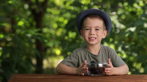 little boy eating blackberry from glass bowl at the table in summer outdoors