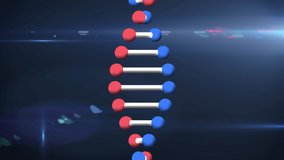 Animation of dna strand over and data processing. global science, digital interface and data processing concept digitally generated video.