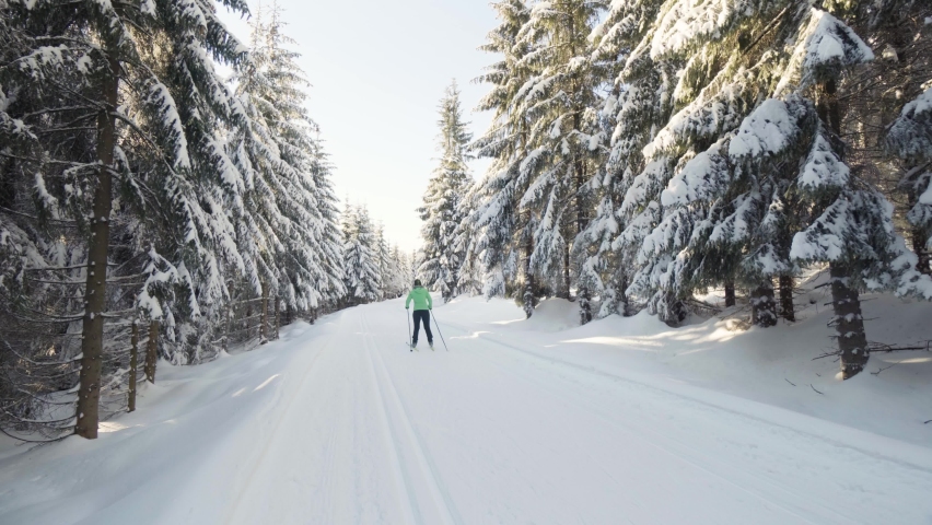 Two cross-country skiers ski down a trail in a snow-covered forest landscape on a sunny day in winter Royalty-Free Stock Footage #1077937508