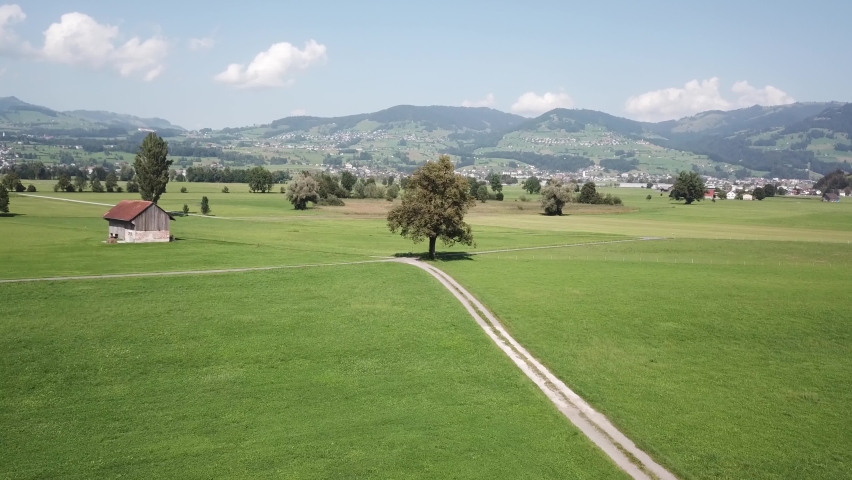 Majestic tree in an intersection in rural part of Switzerland, aerial orbit.
