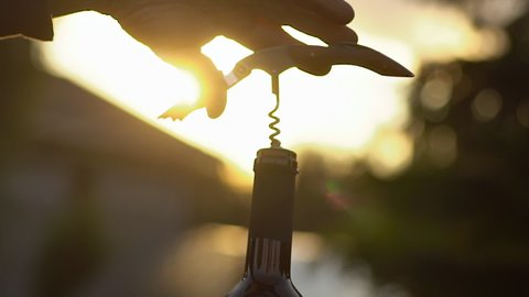 Hands of woman opening bottle of red wine with a corkscrew in park at sunset, close up