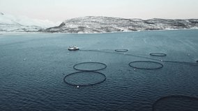 Aerial Drone Video Flat DLOG Norway Salmon Fish Farm in winter landscape with snow and ice