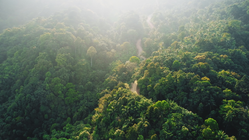 Green mountain peaks jungle nature forest with palm trees in Thailand wild national park. Zoom out of greenery nature landscape on tropical exotic Koh Phangan Island. Eco tourism, travel concept. Royalty-Free Stock Footage #1077966239