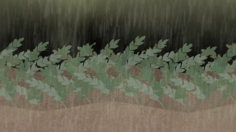 Acid Rain Killing Crops or Plants Animation