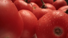 macro shot of fresh tomatoes with water droplets. UHD video