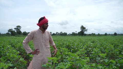 Young indian farmer standing at agriculture field.