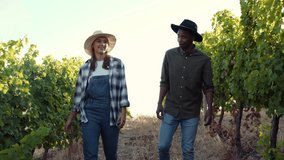 Male and female mixed race farmers walking through vineyards chatting as friends