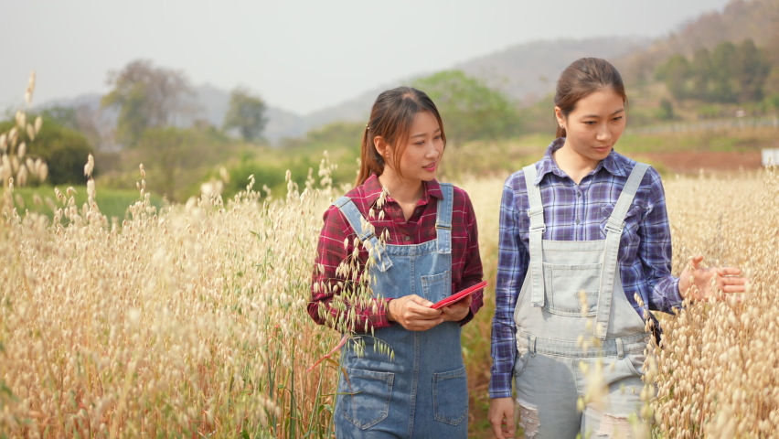 4k young beautiful asian woman farmer Stock Footage Video (100% Royalty ...