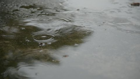 Rain falls to the ground