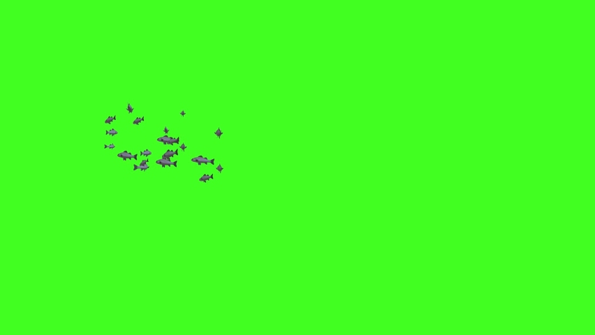 FISH Animation , Fish Swim Green Screen Video, 3D Animation, Underwater, Single and Group Royalty-Free Stock Footage #1078015079