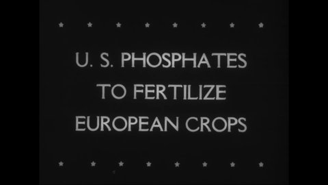 CIRCA 1946 - Phosphate is mined in Florida to be sent to countries in Europe and Asia still recovering from the war.
