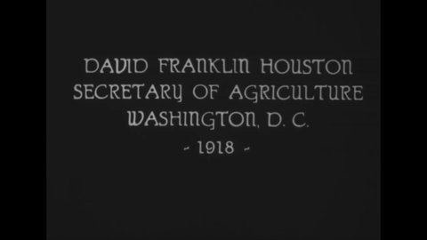 CIRCA 1919 - Secretary Houston spends time with his family at home, then goes to work at the Department of Agriculture in Washington DC.