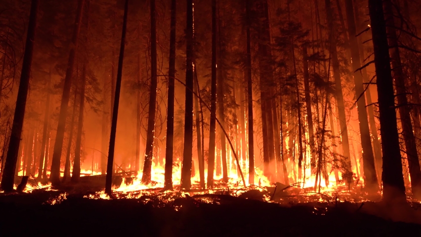 NORTHERN CALIFORNIA - CIRCA 2021 - The Dixie Fire burns unchecked in a forest in Northern California at night. Royalty-Free Stock Footage #1078029932