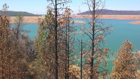 LAKE OROVILLE, CALIFORNIA - CIRCA 2021 - Oroville Lake California during extreme drought conditions with low water levels and burned trees.