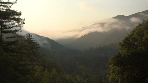 BIG SUR, CALIFORNIA - CIRCA 2021 - Good establishing shot of Big Sur valley shrouded in fog, along the California coast.