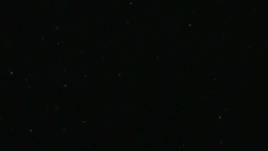 Drifting real dust isolated on a black background. Filmed spore particles with selective focus floating in the air. Cinematic overlay as organic concept template for a macro virus, pollen, vapor