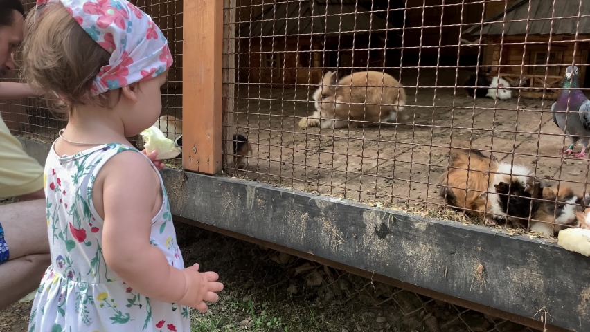 agriculture, farm, forest nature concept. family travel visit wild domestic pets animals at contact zoo in summer sunny day. siblings toddler preschool children feed rabbits, guinea pigs and hamsters