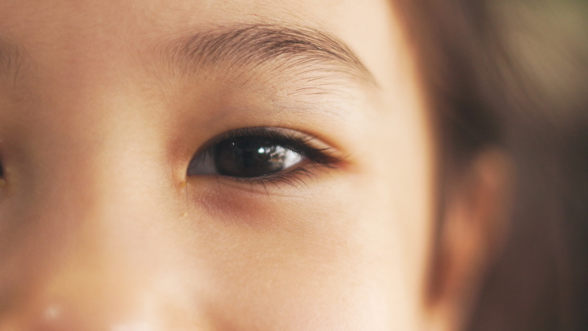 Close up 4k of beautiful eye and eyebrows of adorable asian girl kid is looking to camera. It shows attractive facial expression for cultural diversity and confident with hope for new generation. | Shutterstock HD Video #1078044413